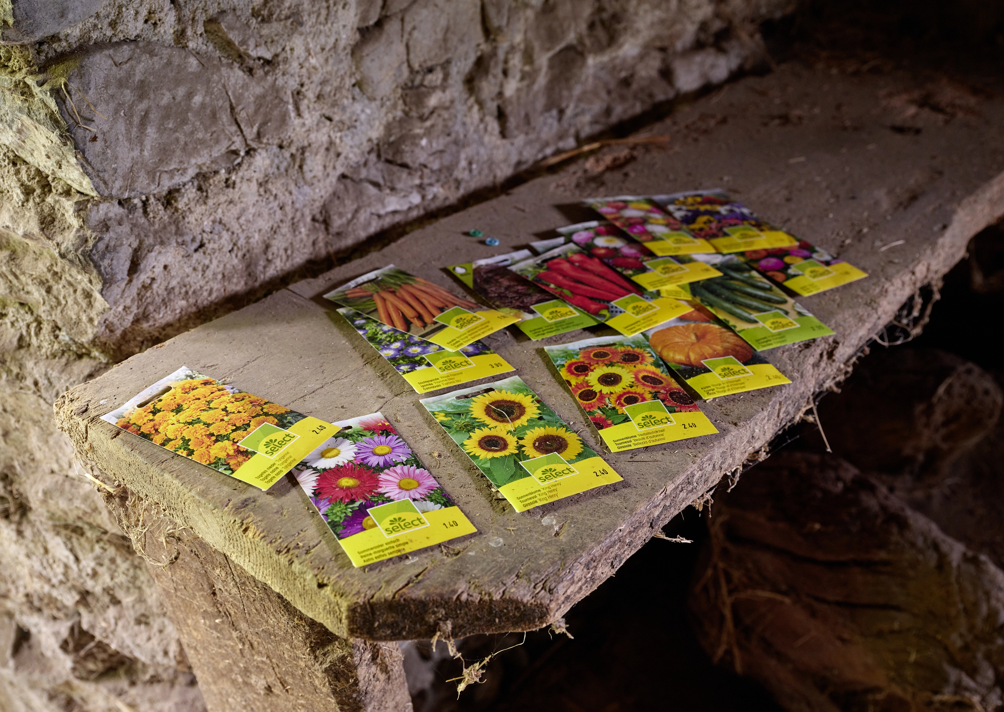 Polly Apfelbaum – Greenhouse, 2022 – Photo: David Aebi