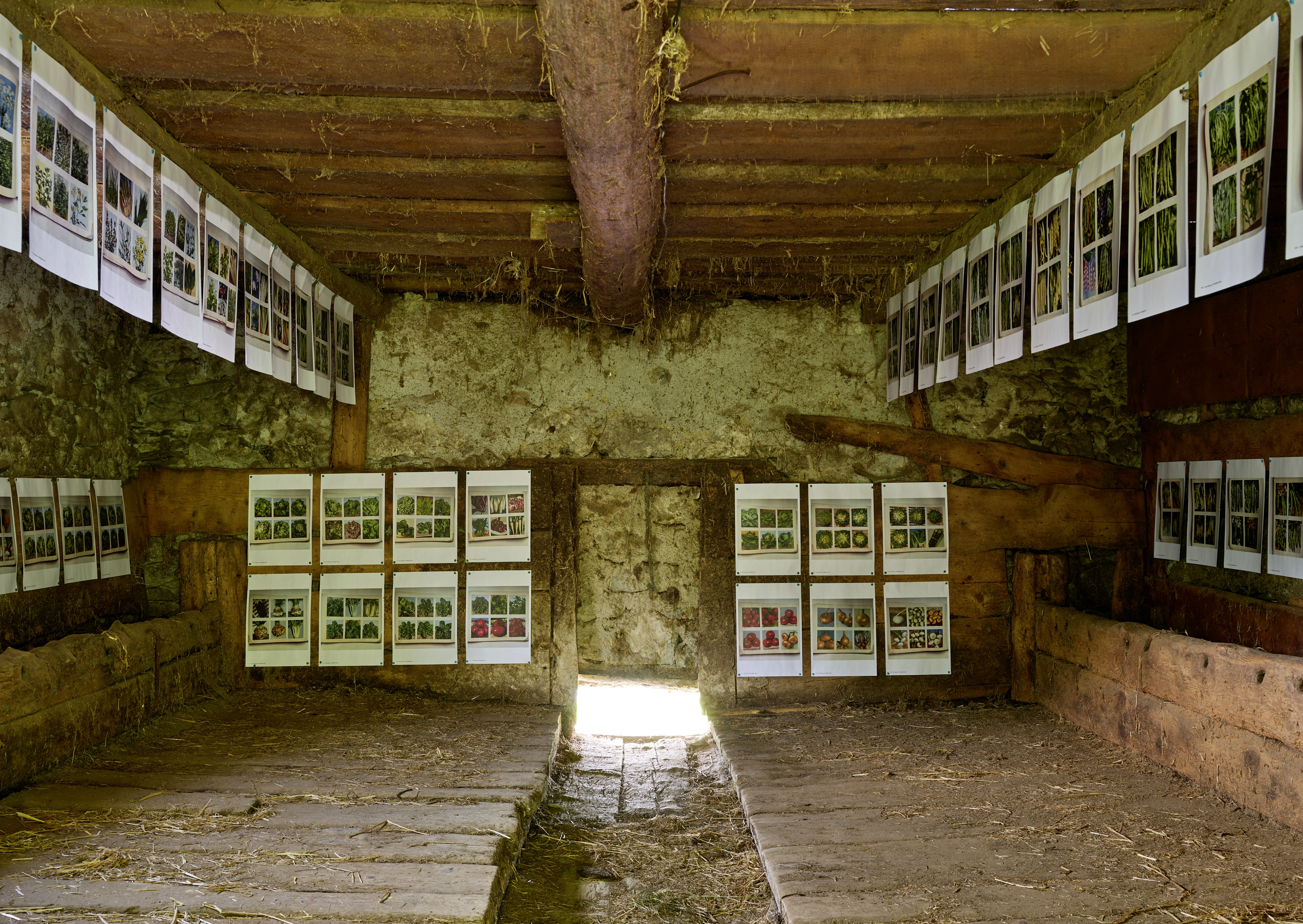 Polly Apfelbaum – Greenhouse, 2022 – Photo: David Aebi