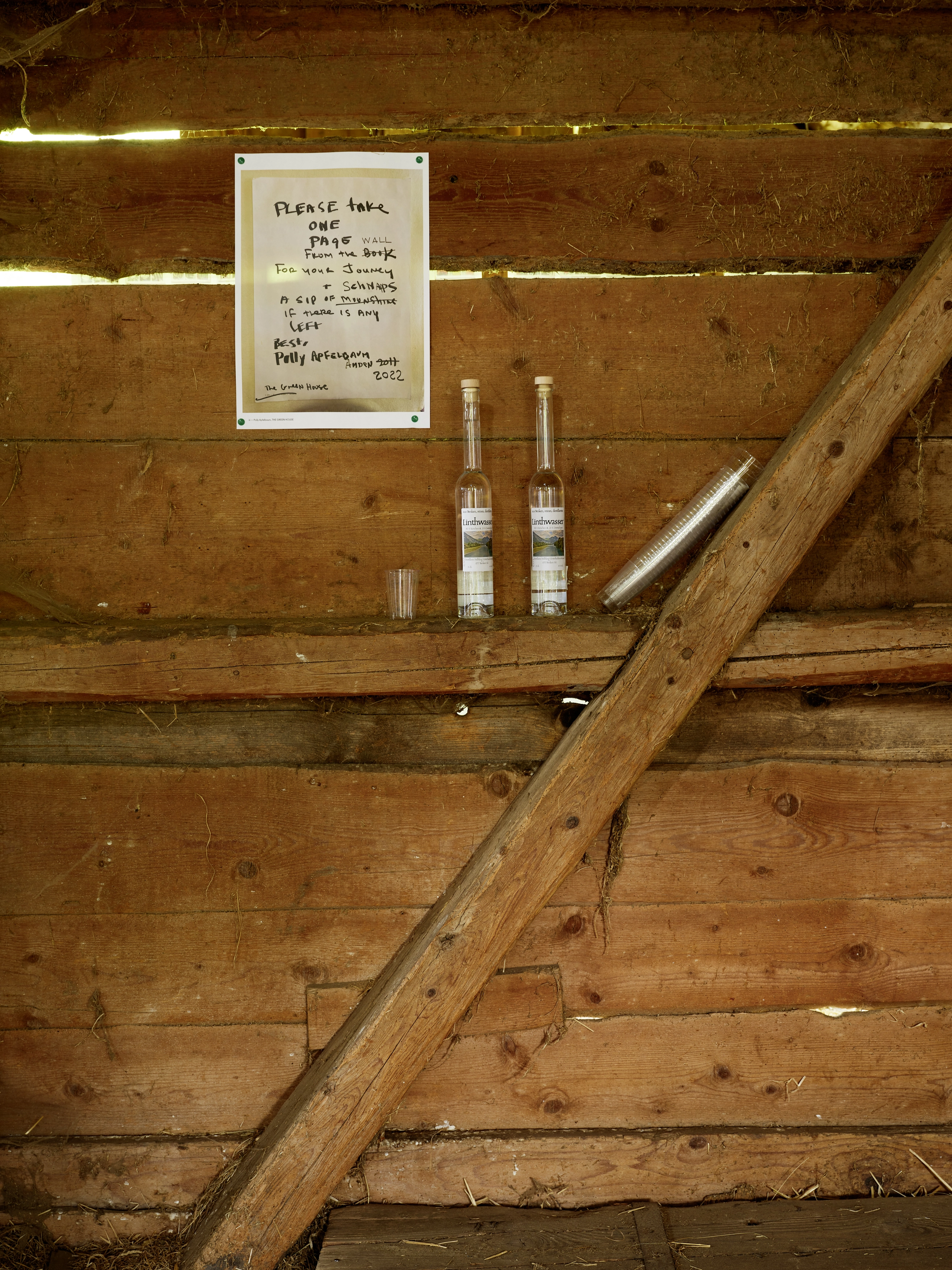 Polly Apfelbaum – Greenhouse, 2022 – Photo: David Aebi