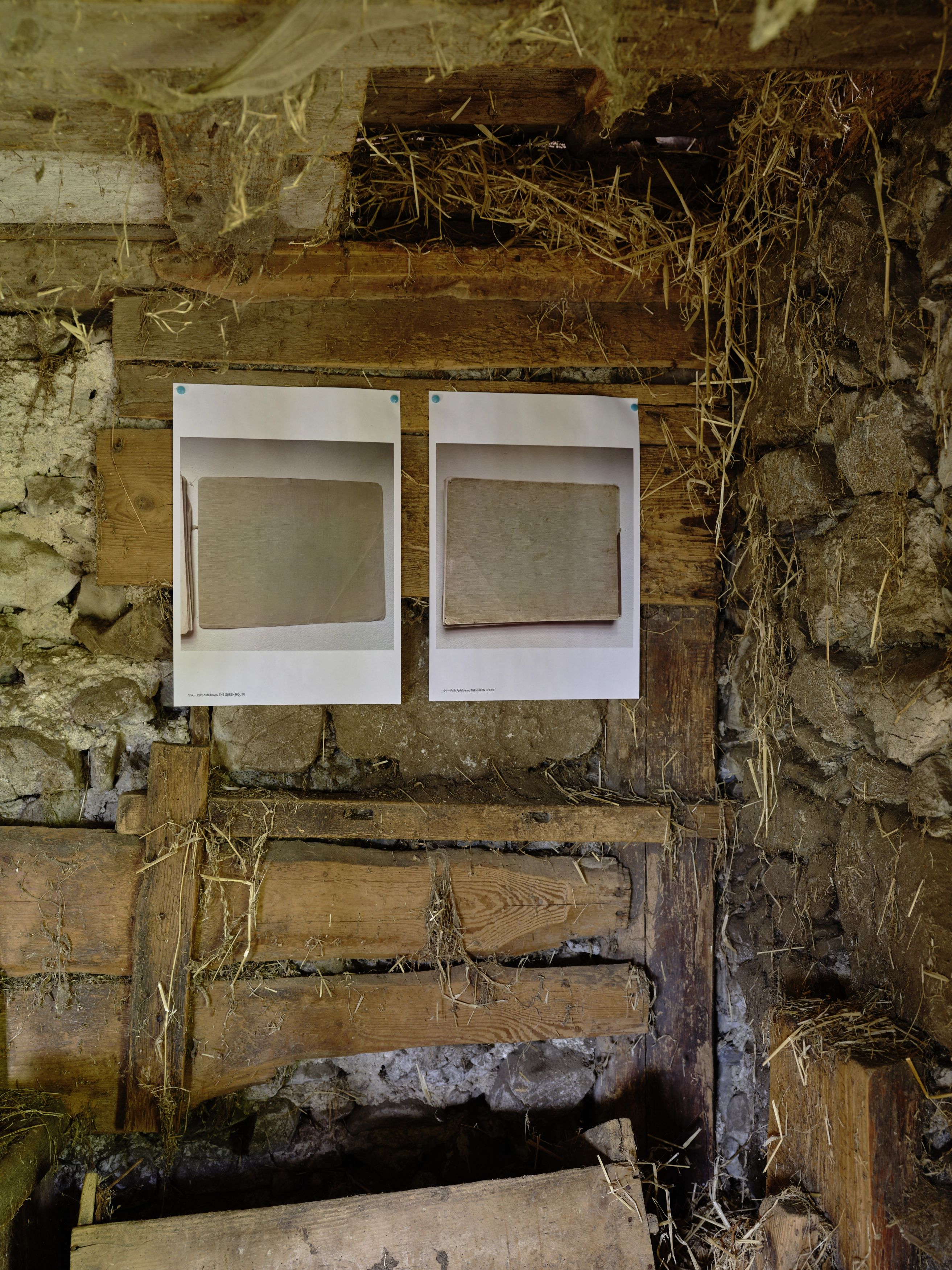 Polly Apfelbaum – Greenhouse, 2022 – Photo: David Aebi