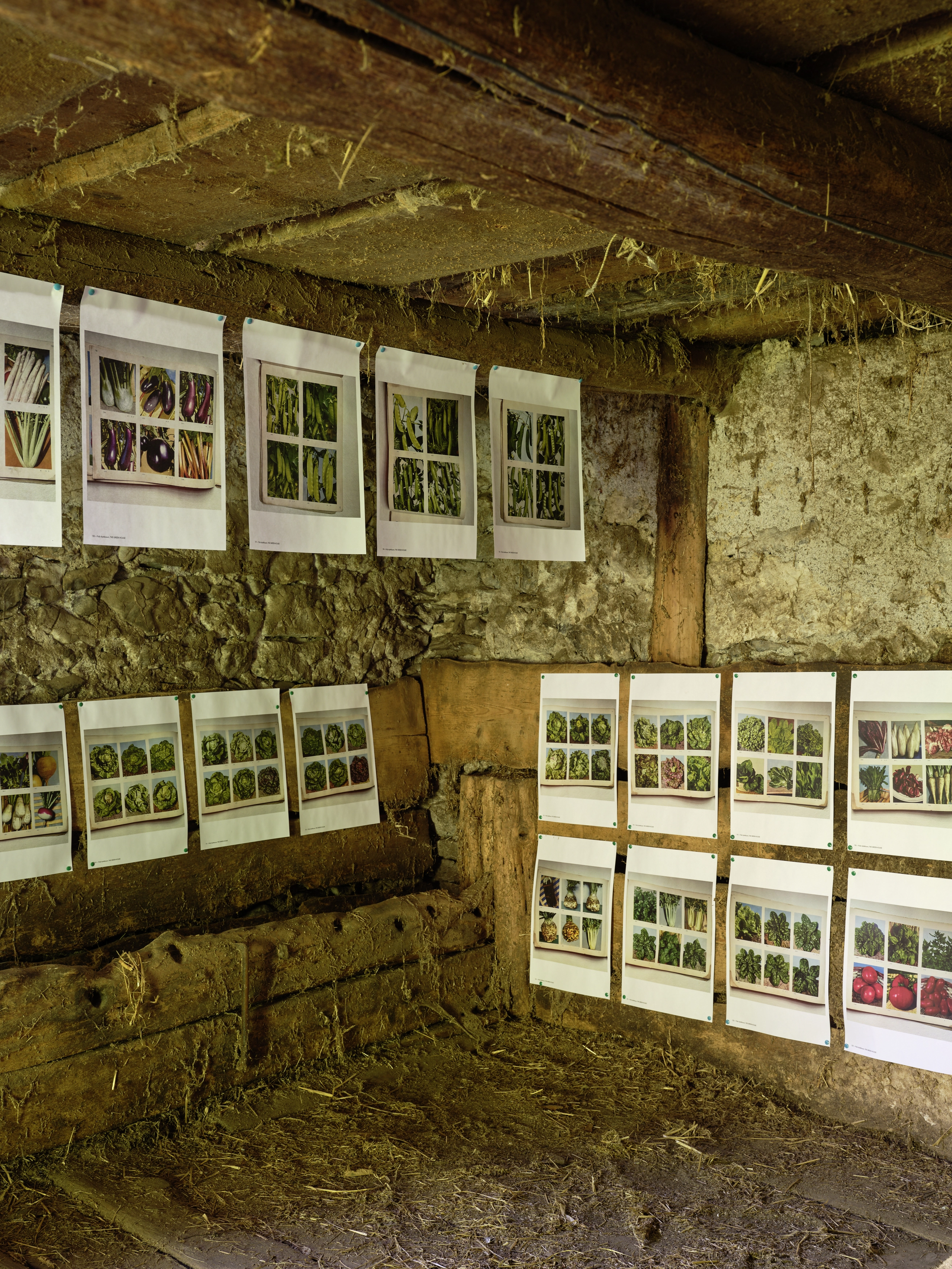 Polly Apfelbaum – Greenhouse, 2022 – Photo: David Aebi