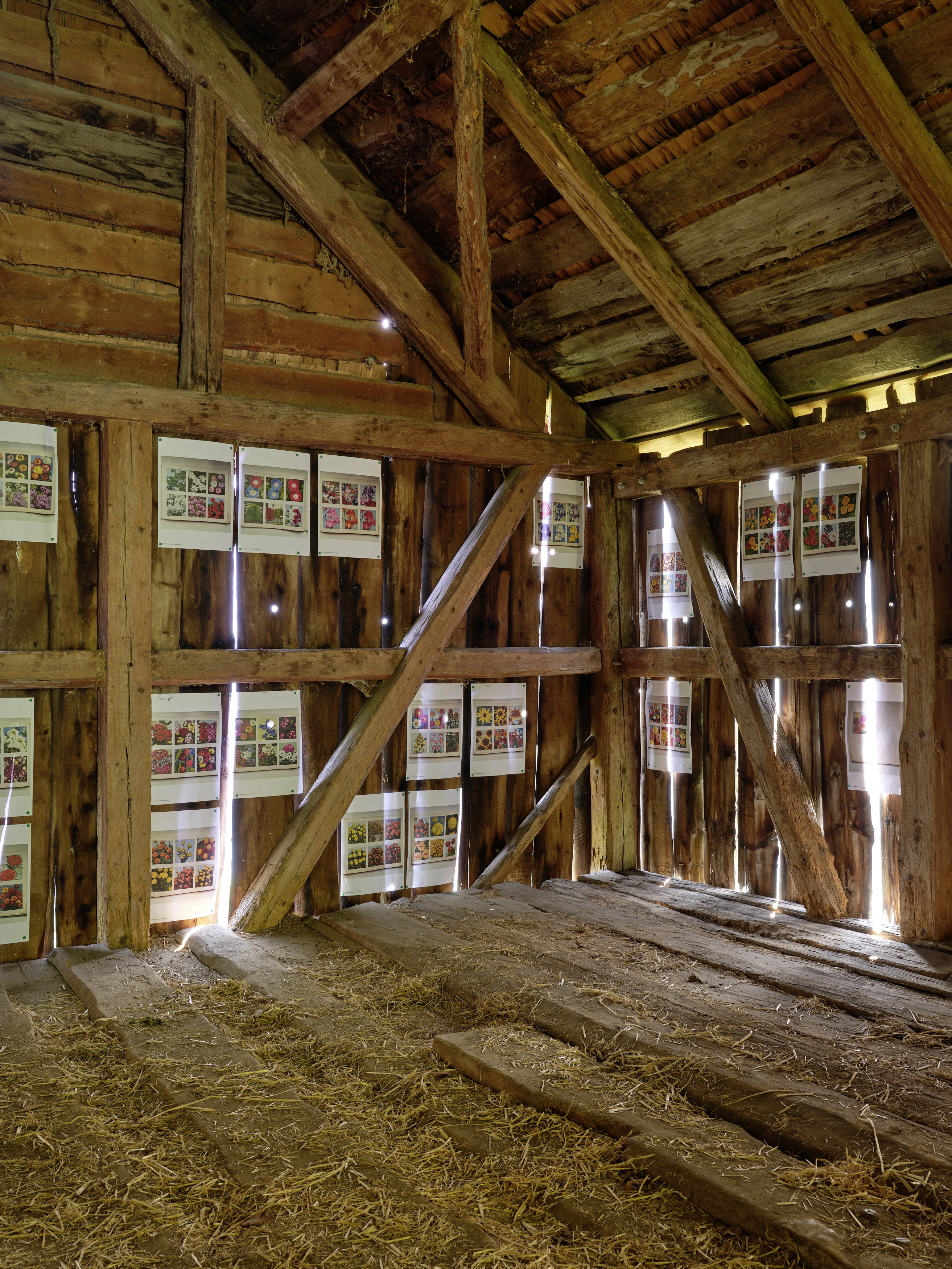 Polly Apfelbaum – Greenhouse, 2022 – Photo: David Aebi