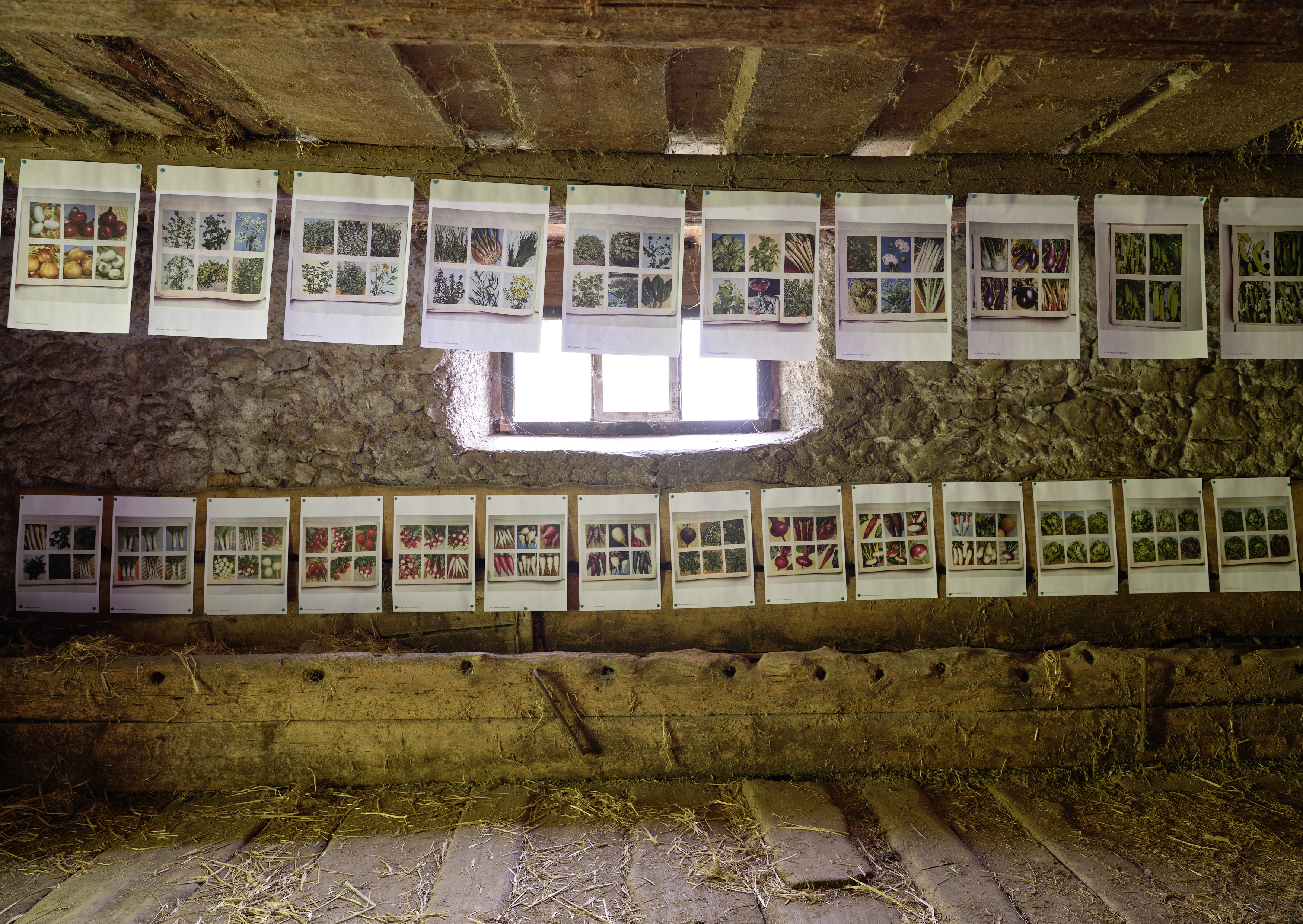 Polly Apfelbaum – Greenhouse, 2022 – Photo: David Aebi