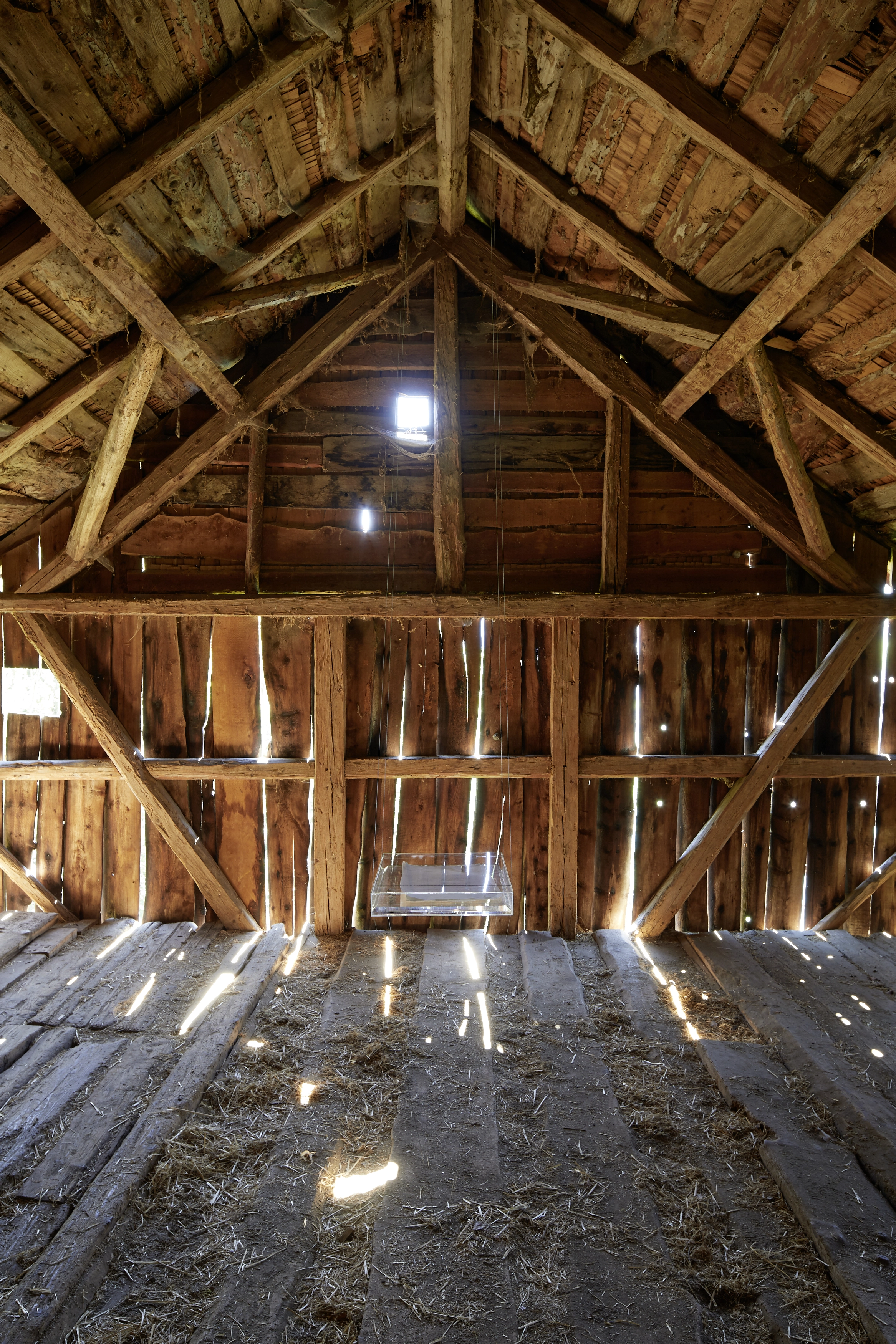 Marie Matusz – Golden Hour, 2019 – Foto: David Aebi