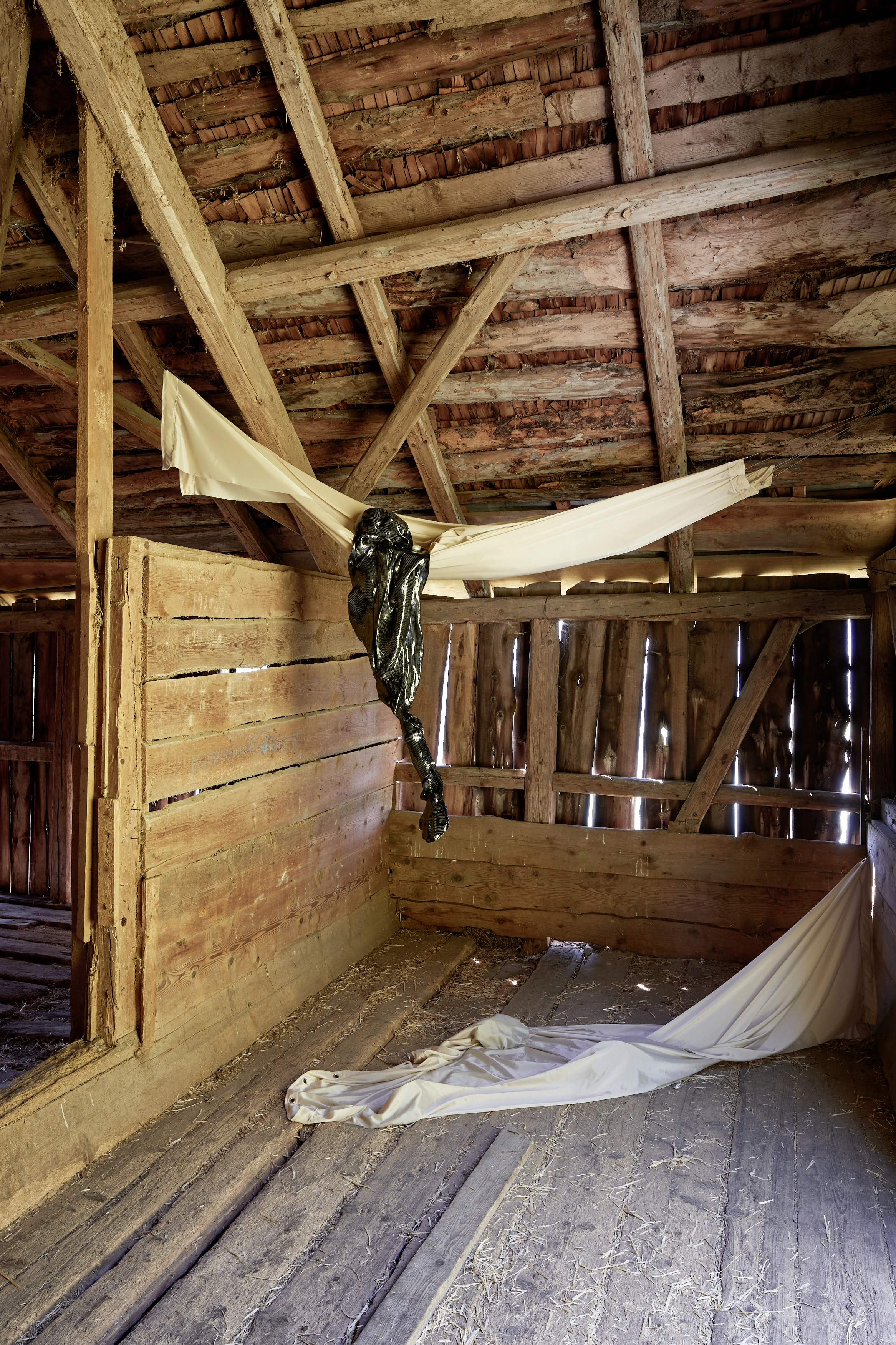 Marie Matusz – Golden Hour, 2019 – Foto: David Aebi