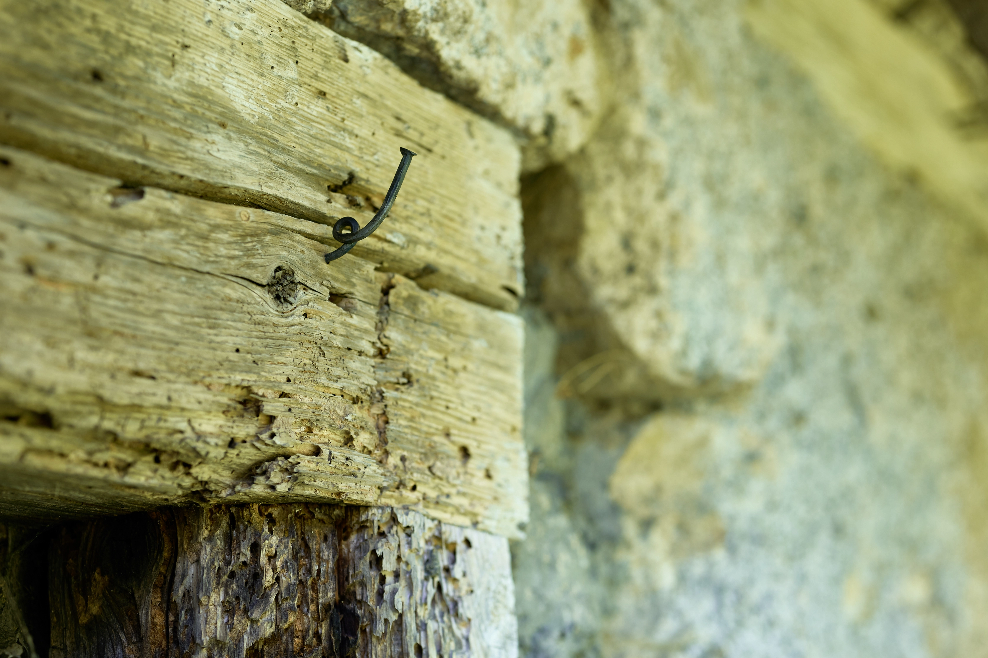 Judith Clark – Niklaus Manuel Deutsch ausstellen – Das Urteil des Paris II, 2018 – Foto: David Aebi