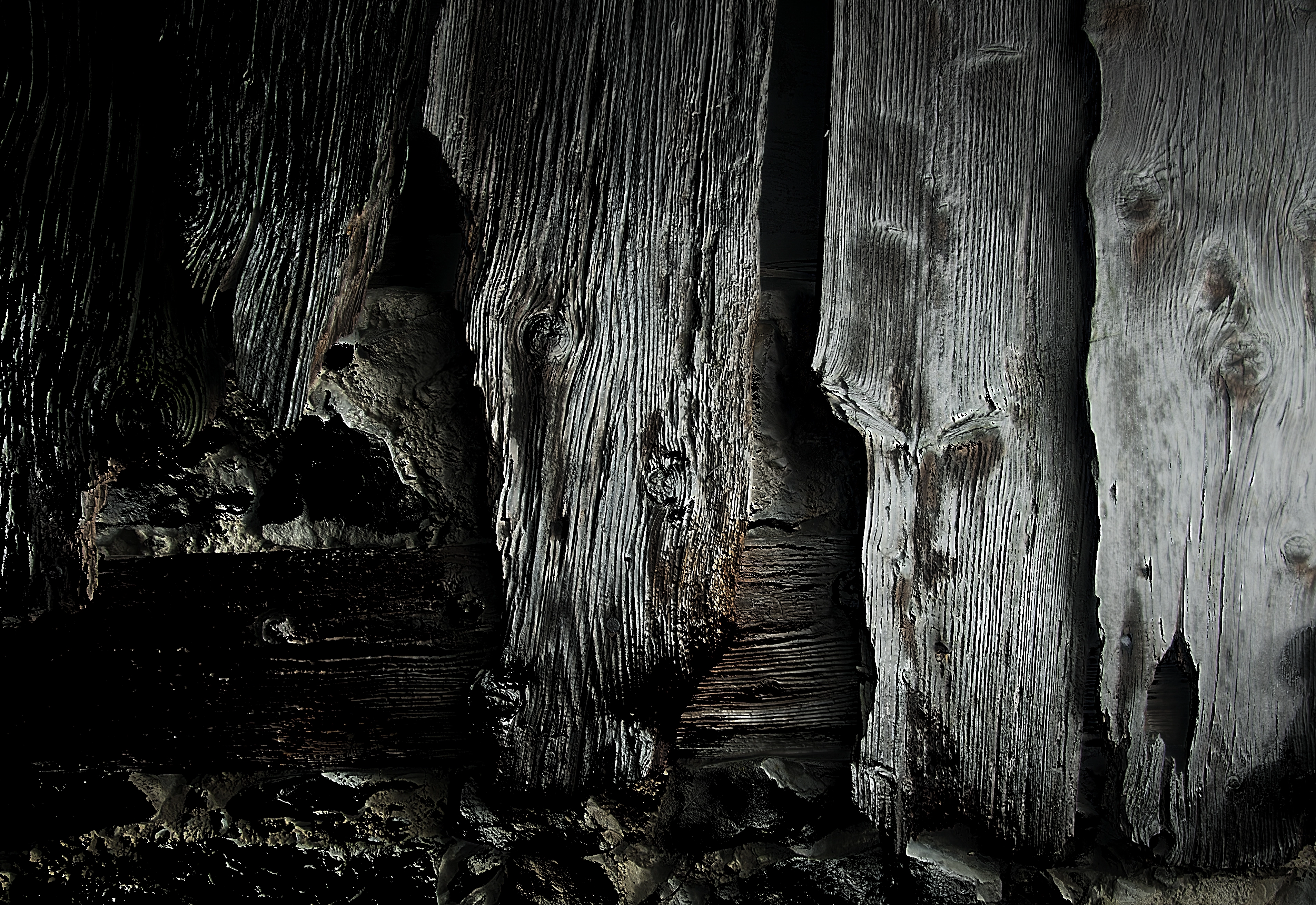 Elizabeth Wright – Involuntary Works, 2018 – Foto: David Aebi