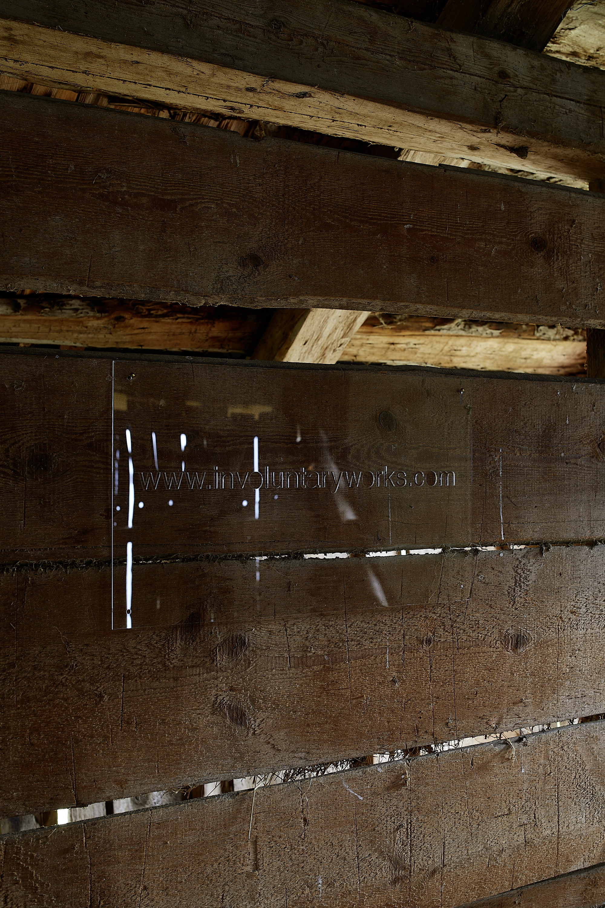 Elizabeth Wright – Involuntary Works, 2018 – Foto: David Aebi