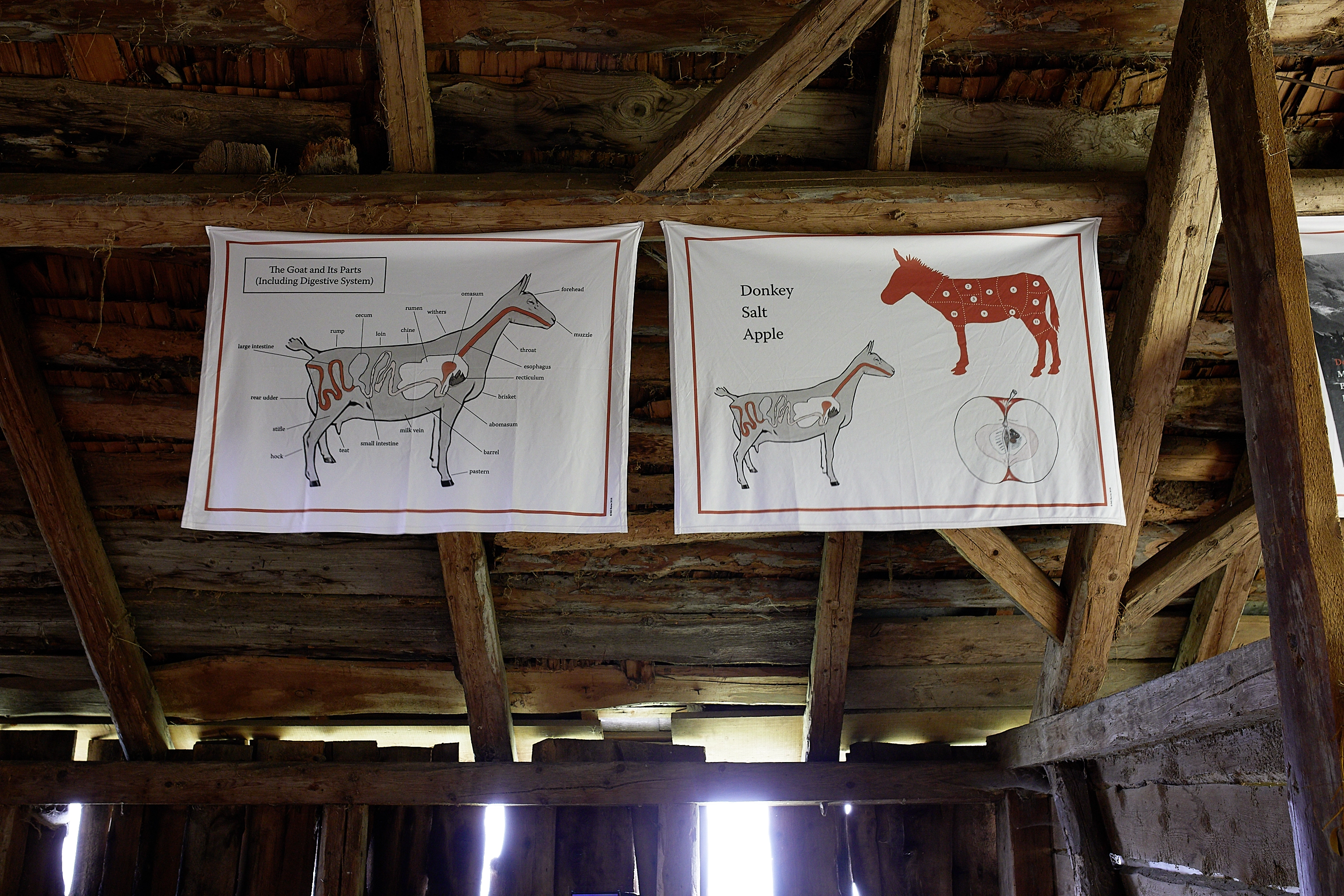 Bill Burns – The Salt, the Donkey, the Apple, 2018 – Photo: David Aebi