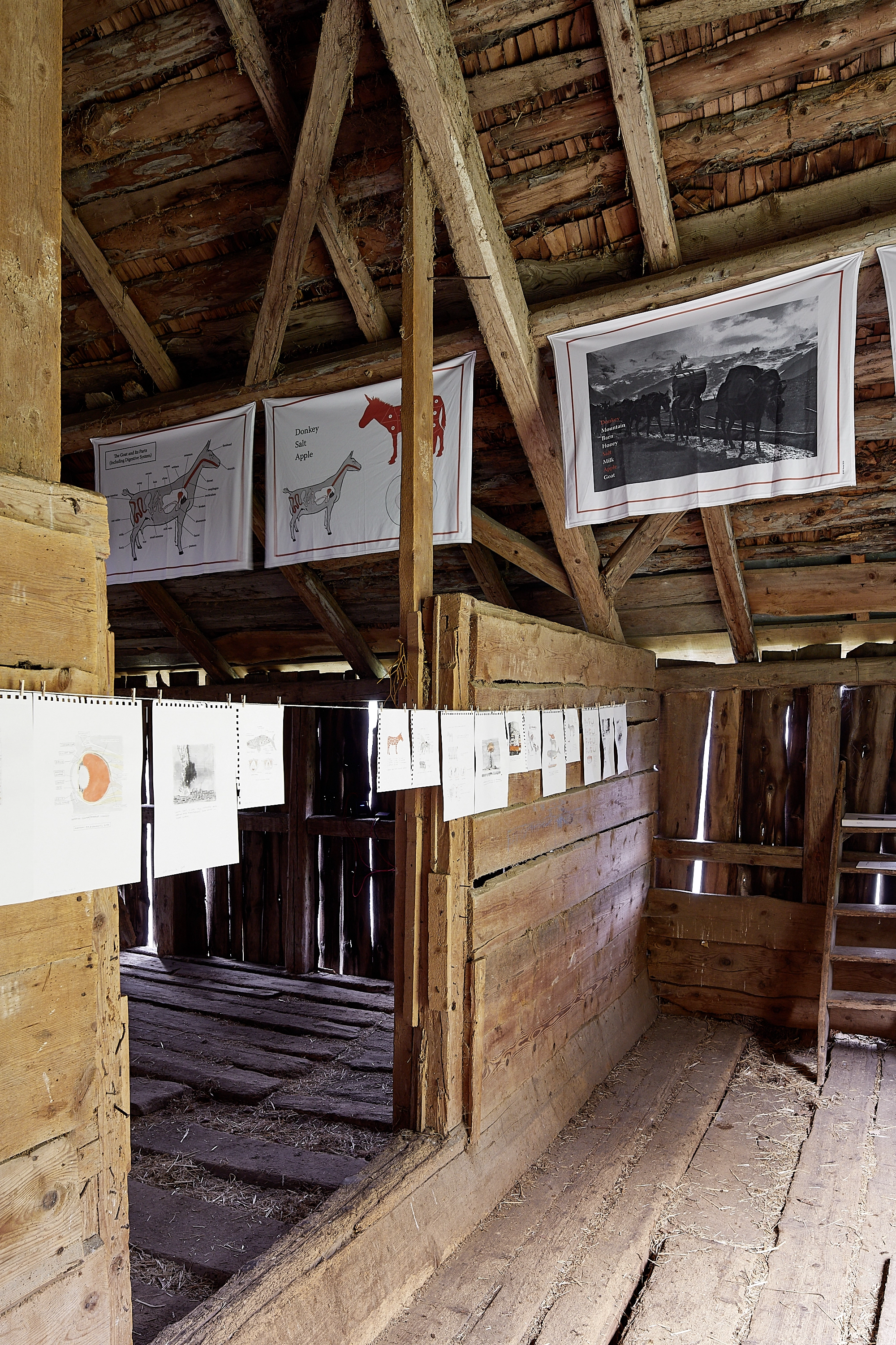 Bill Burns – The Salt, the Donkey, the Apple, 2018 – Photo: David Aebi