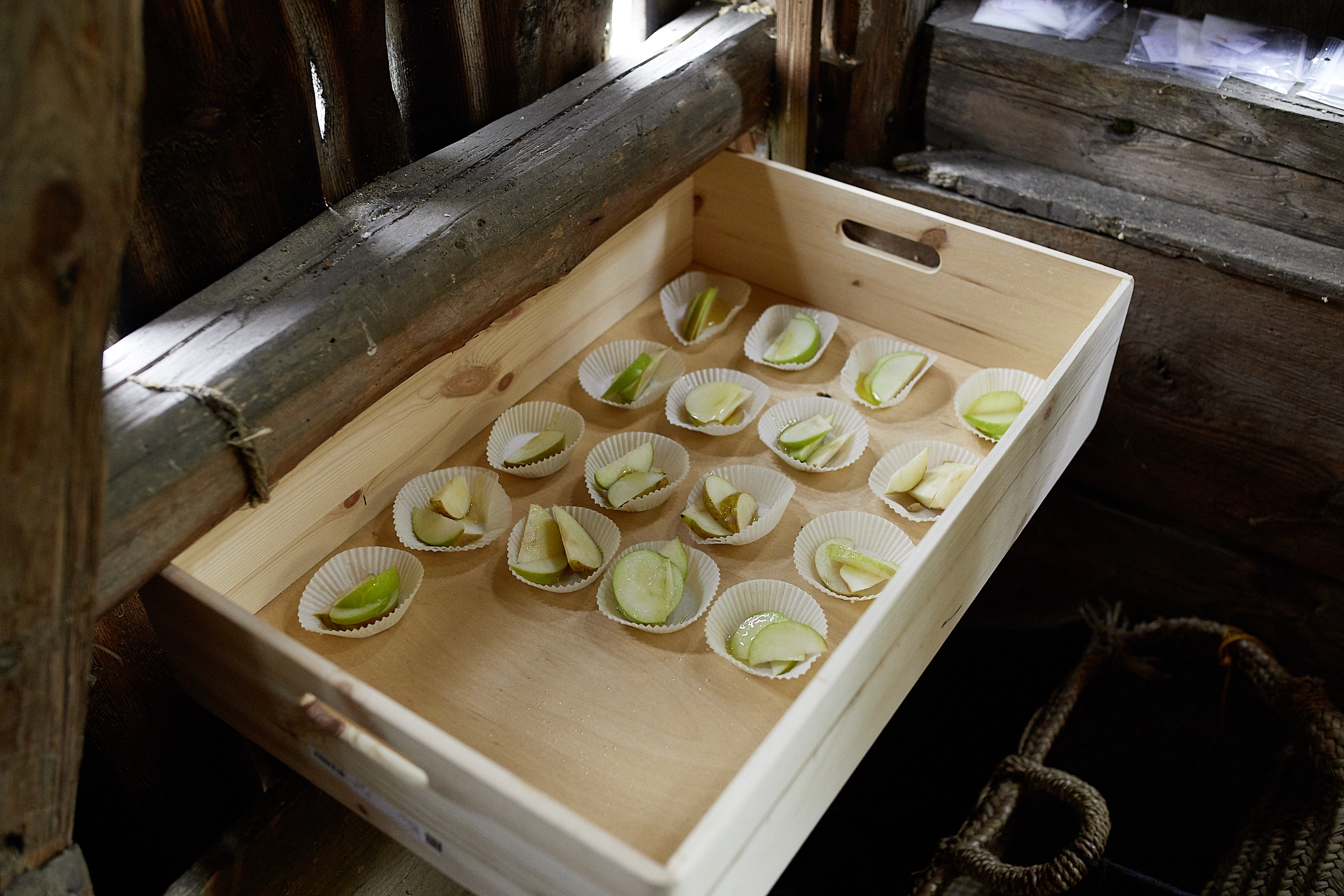 Bill Burns – The Salt, the Donkey, the Apple, 2018 – Photo: David Aebi