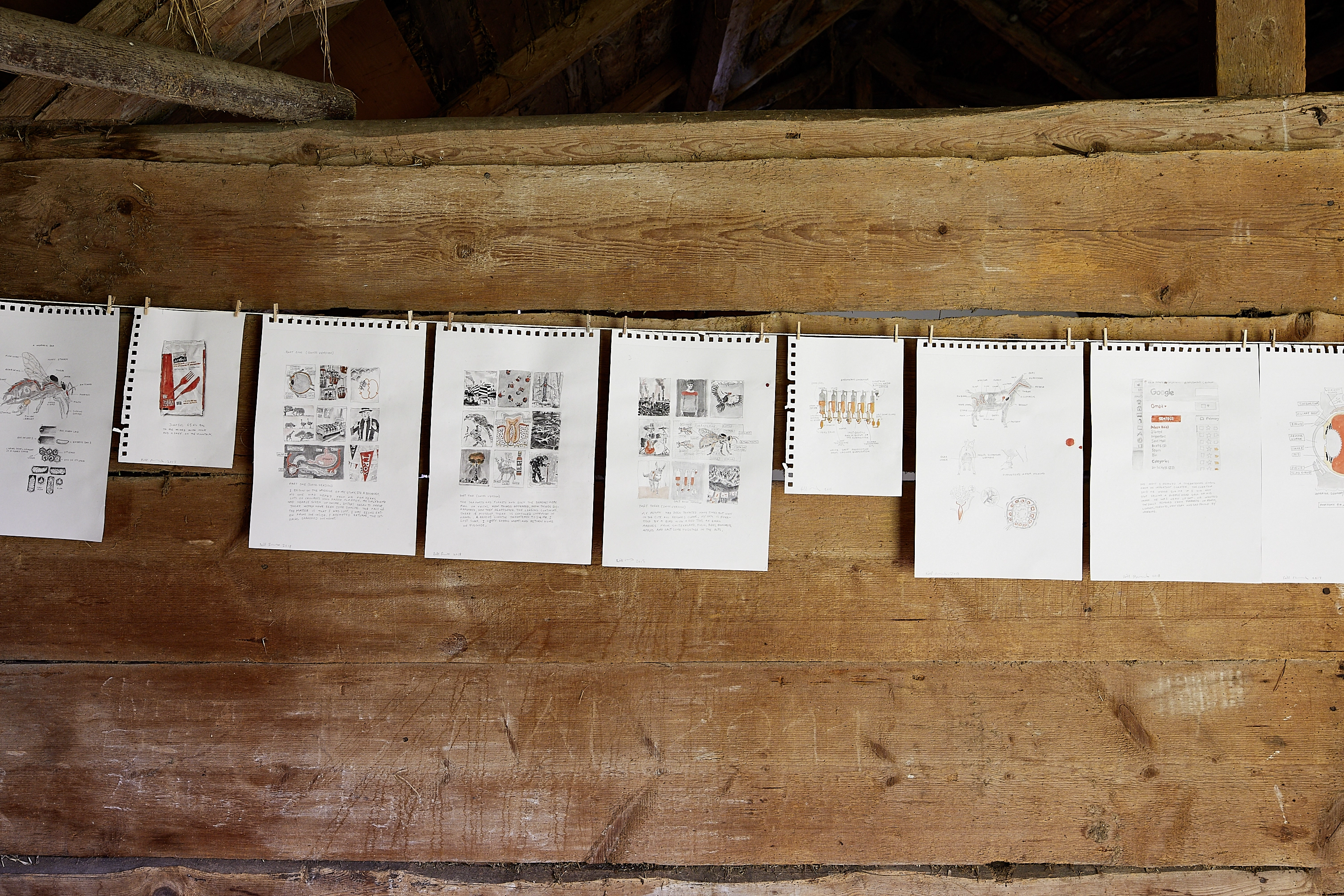 Bill Burns – The Salt, the Donkey, the Apple, 2018 – Photo: David Aebi