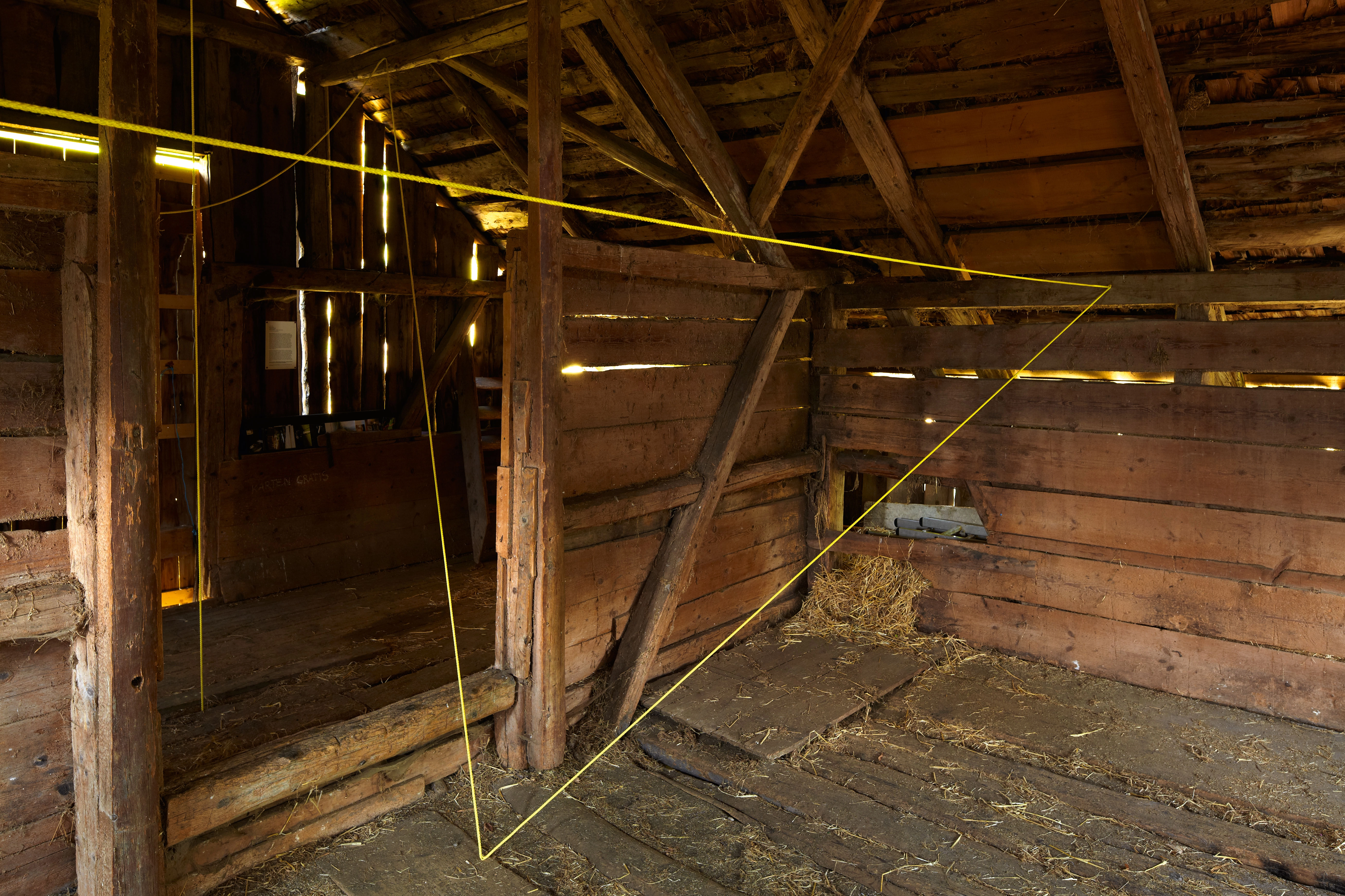 Brian O'Doherty – Taking a Line for a Walk, 2012 – Foto: David Aebi