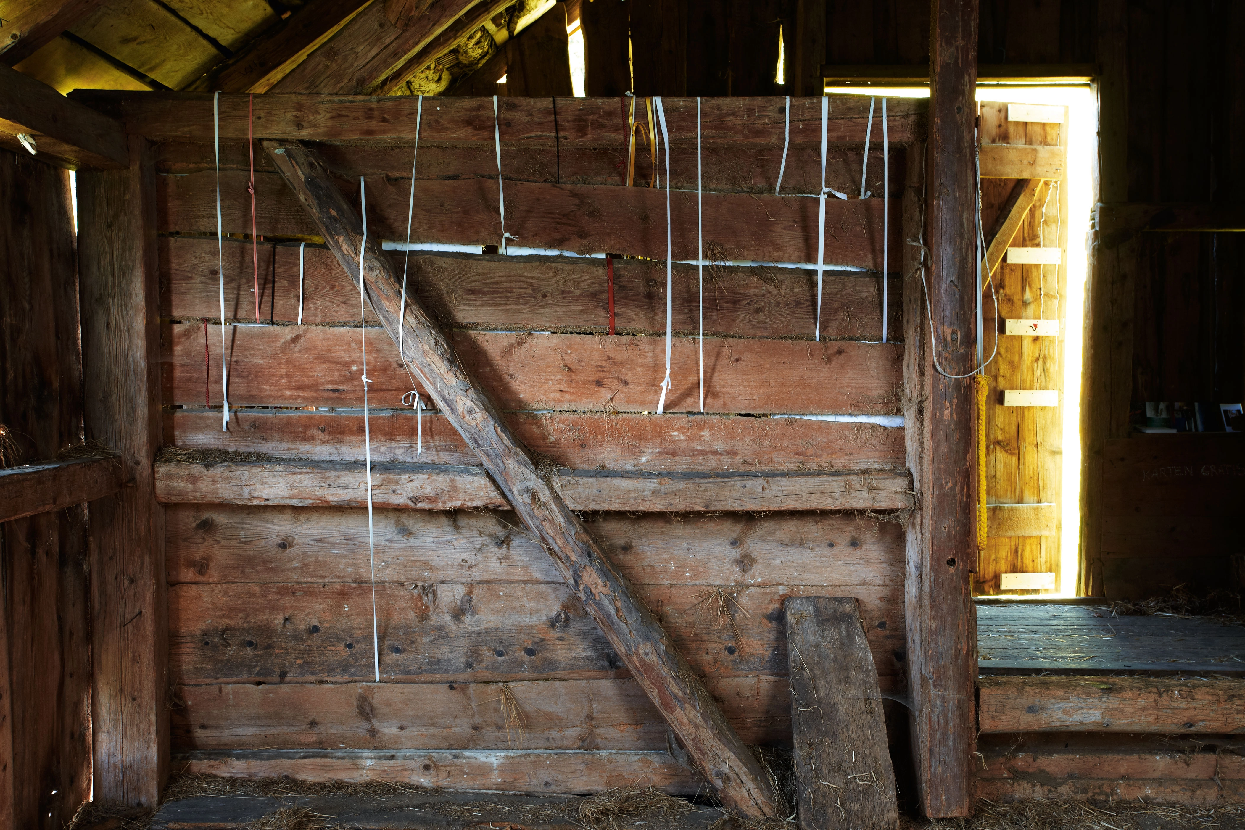 Eran Schaerf – Wanderblog, 2009 – Photo: David Aebi