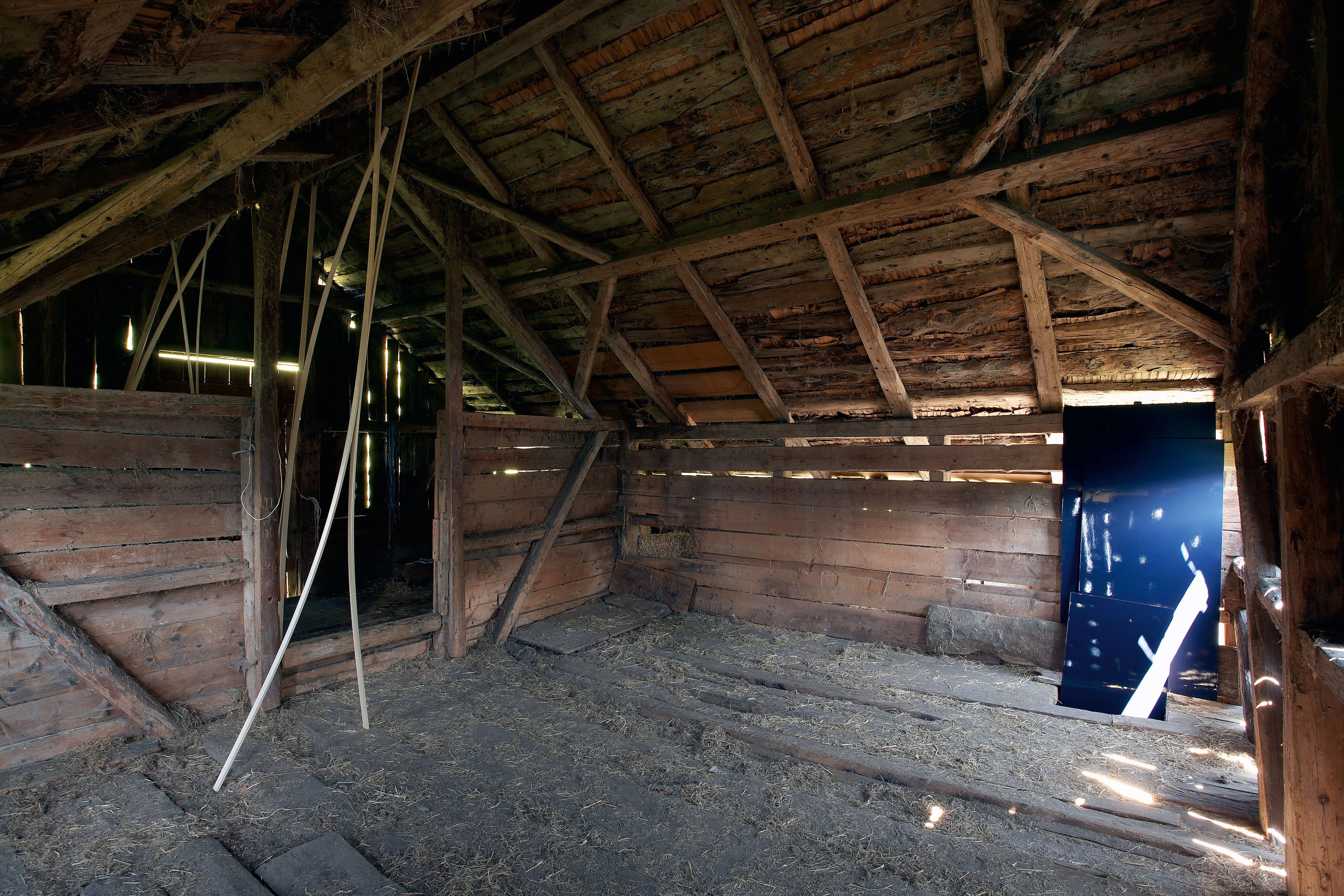 Karin Hueber – Die mondänen Besucher I und II, 2008 – Photo: David Aebi