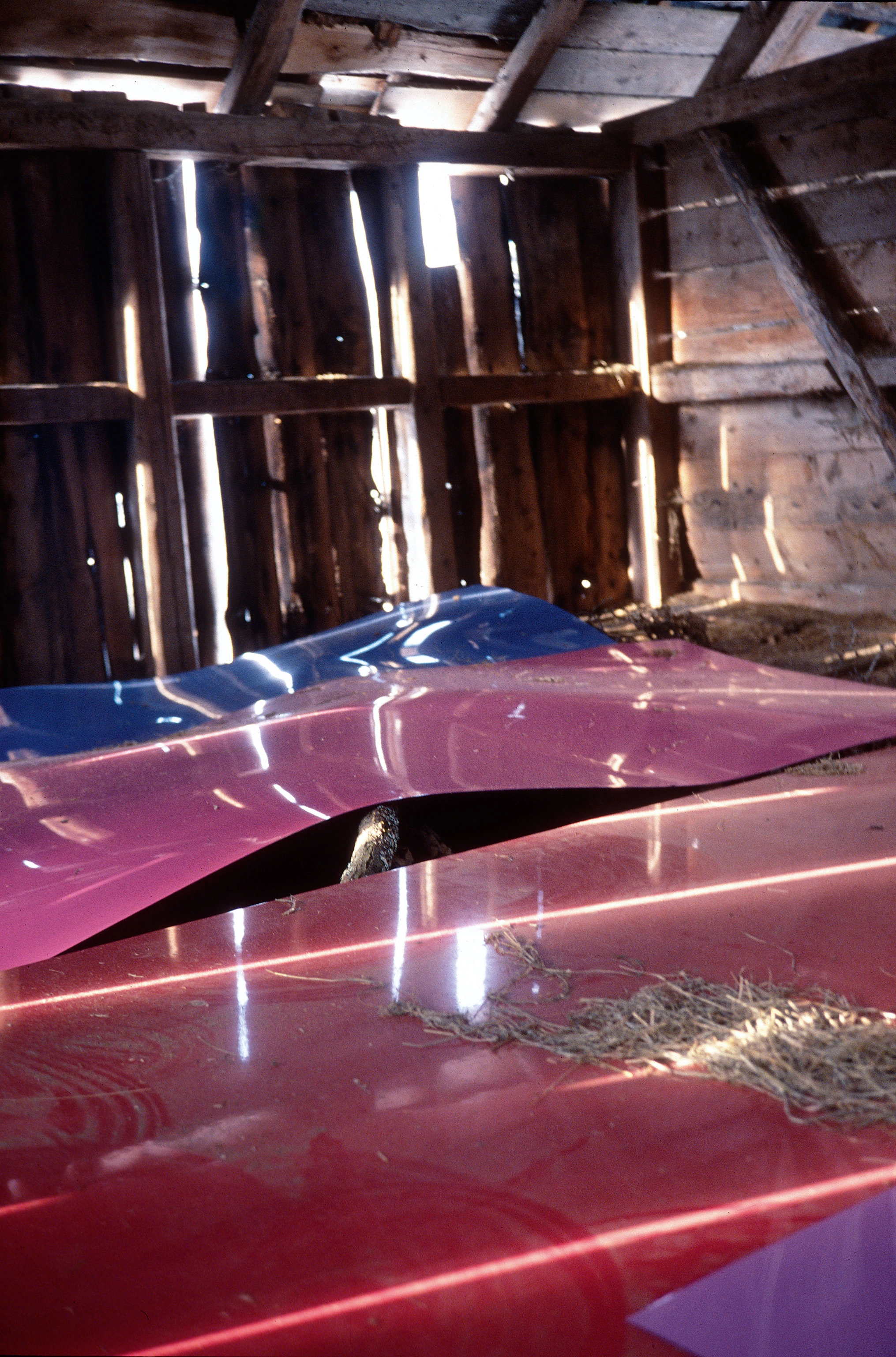 Adrian Schiess – Adrian Schiess, 2005 – Foto: Roman Kurzmeyer