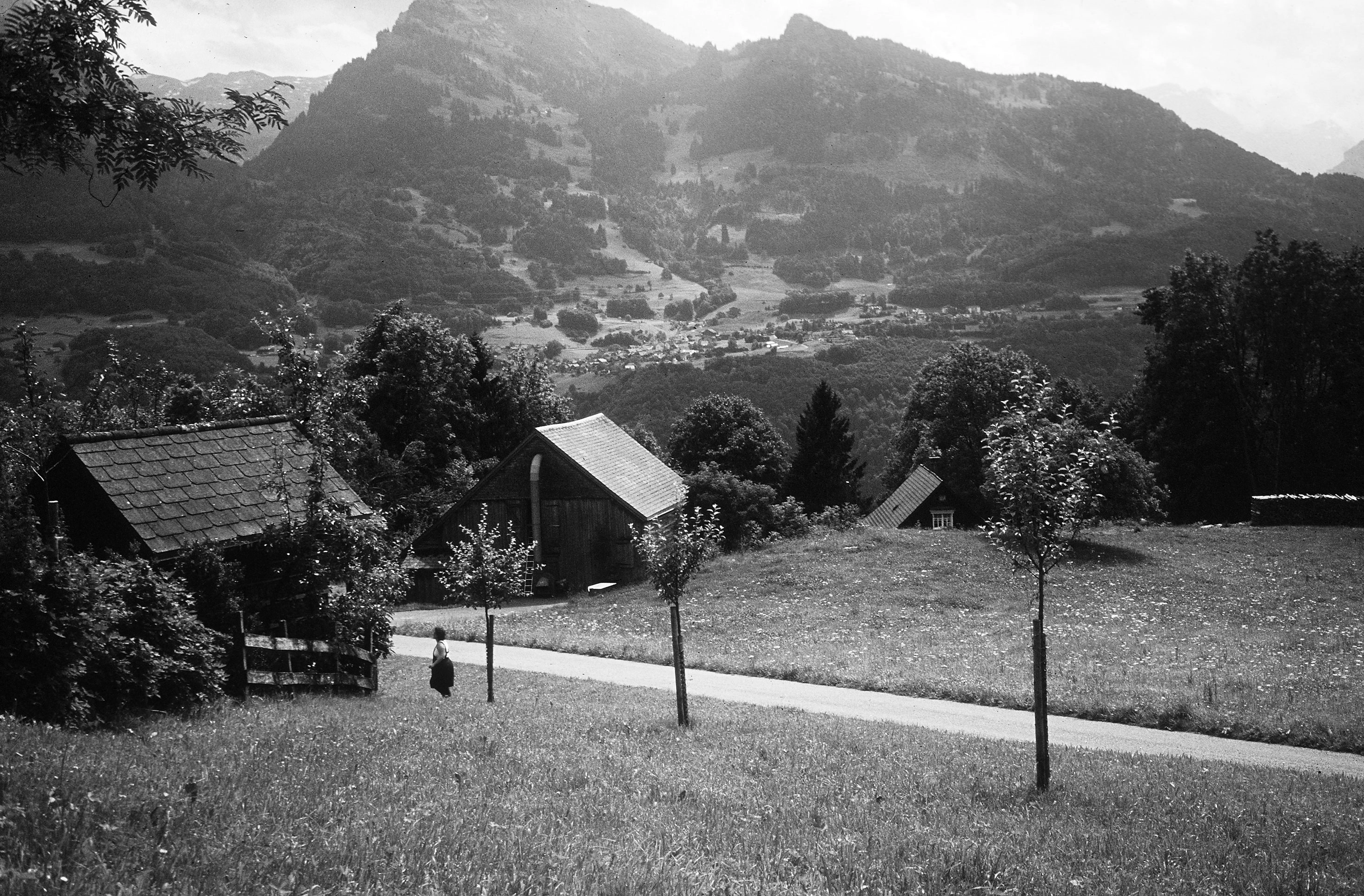 Anya Gallaccio – Have, 2001 – Foto: Michael Fontana