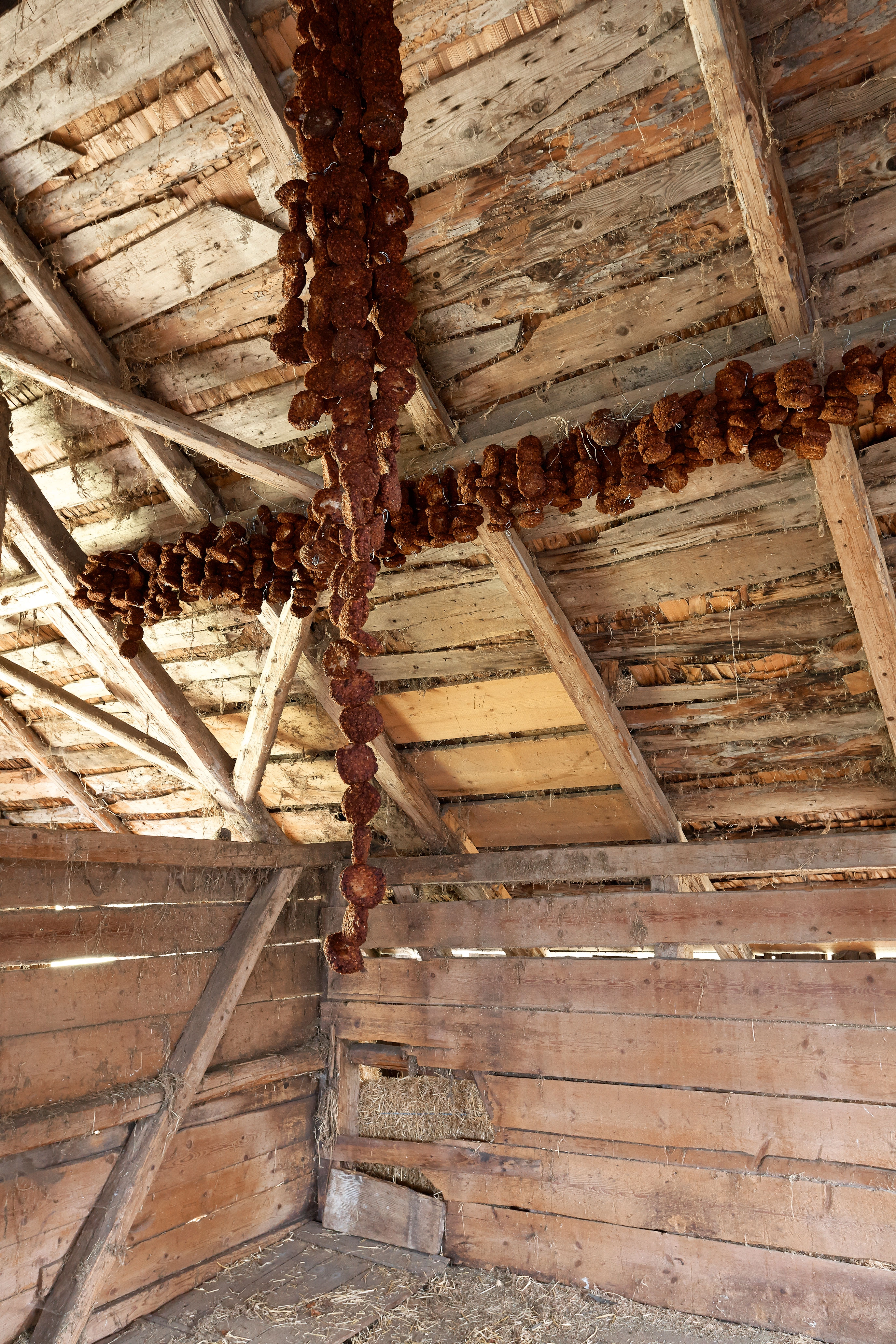 Erik Steinbrecher – Schluss mit Öko, 2007 – Foto: David Aebi