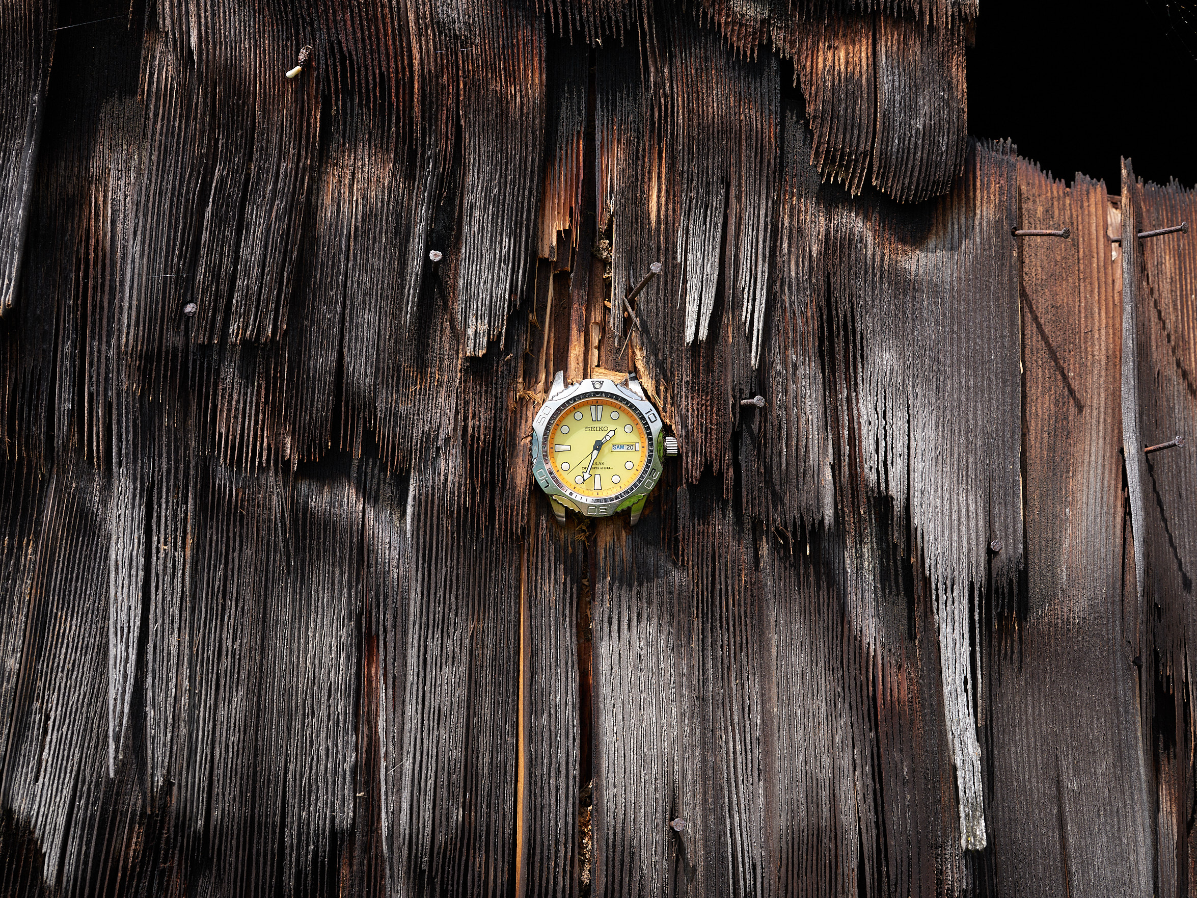 Kaspar Müller – Liquid Artist, 2023 – Foto: David Aebi