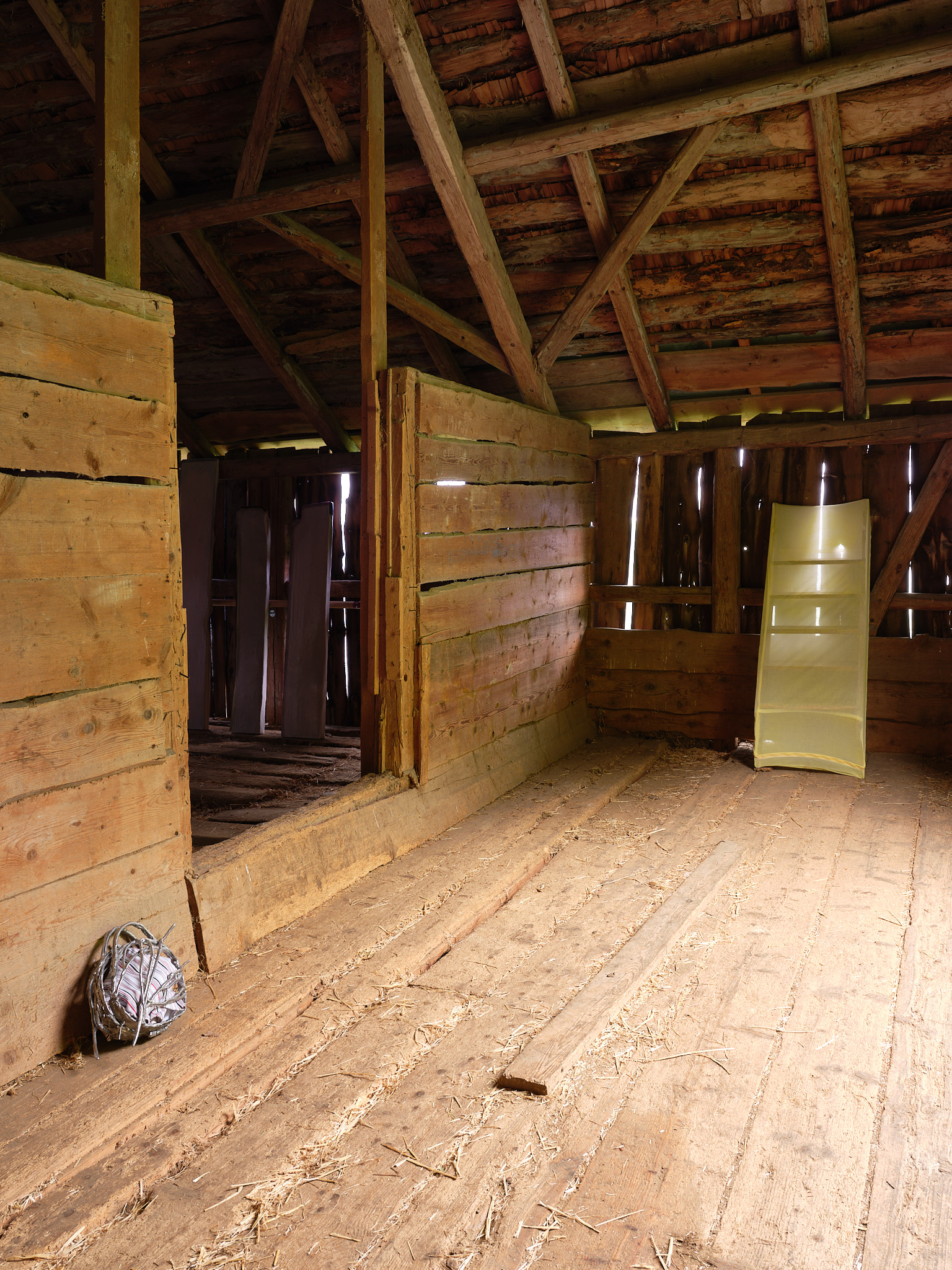 Gil Pellaton – Bo Butterfly, 2024 – Photo: David Aebi