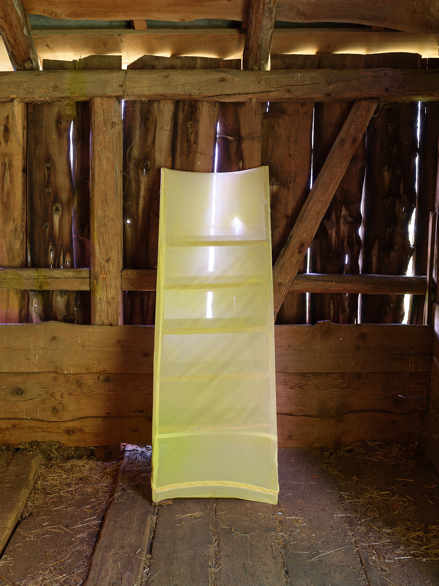 Gil Pellaton – Bo Butterfly, 2024 – Photo: David Aebi